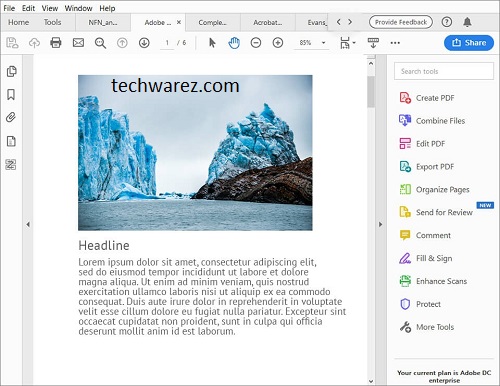 acrobat pro dc portable Espanol